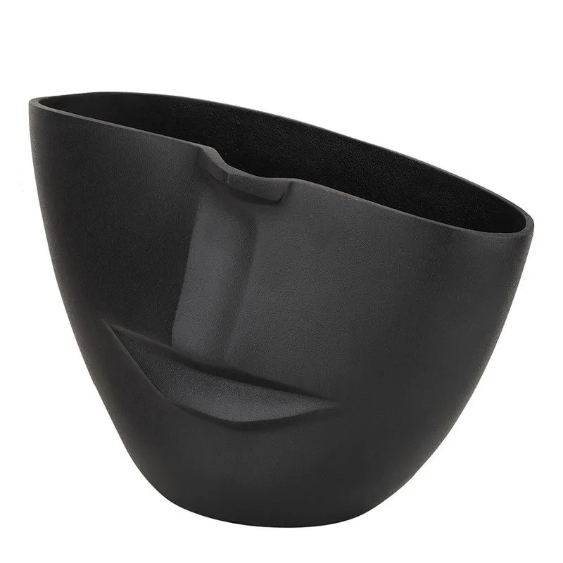 The amused Face Vase media 5