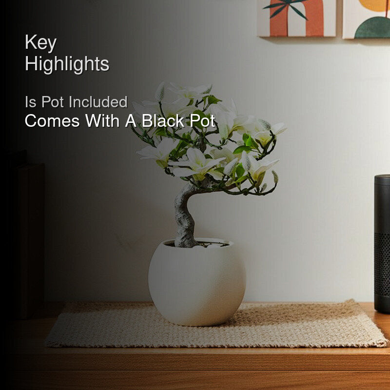 Magnira Artificial Mini Magnolia Tree With Black Plastic Pot (White & Green) - 50 cm media 2