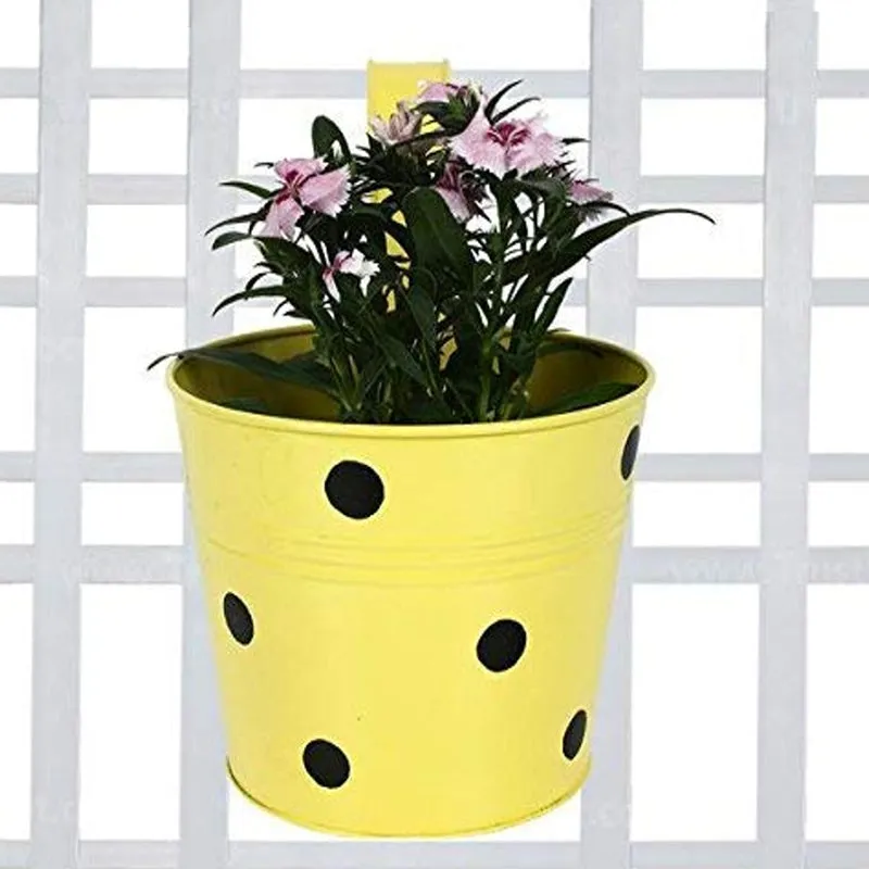 Polka Pro Planter - Set Of Five media 4