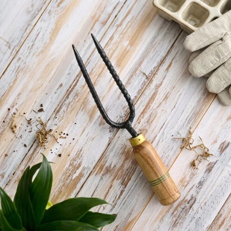 Ugaoo Double Prong Weeder media 1