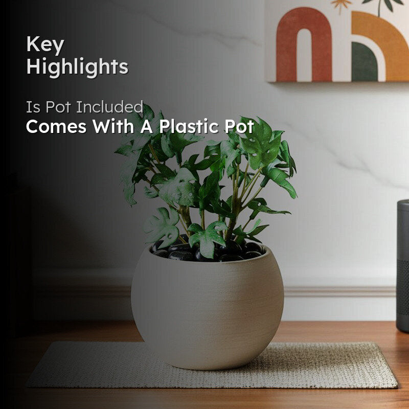 Minstera Artificial Mini Monstera Plant With Black Plastic Pot (Green) - 16 cm media 2