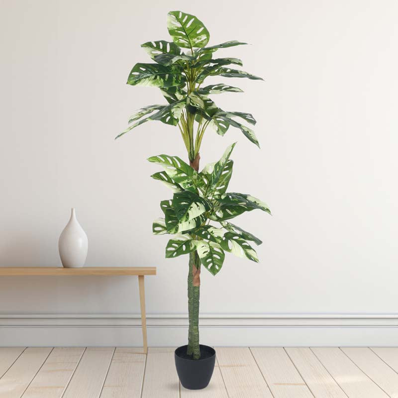 Faux Lush Variegated Monstera Plant With Black Plastic Pot - 4.8 Feet media 3