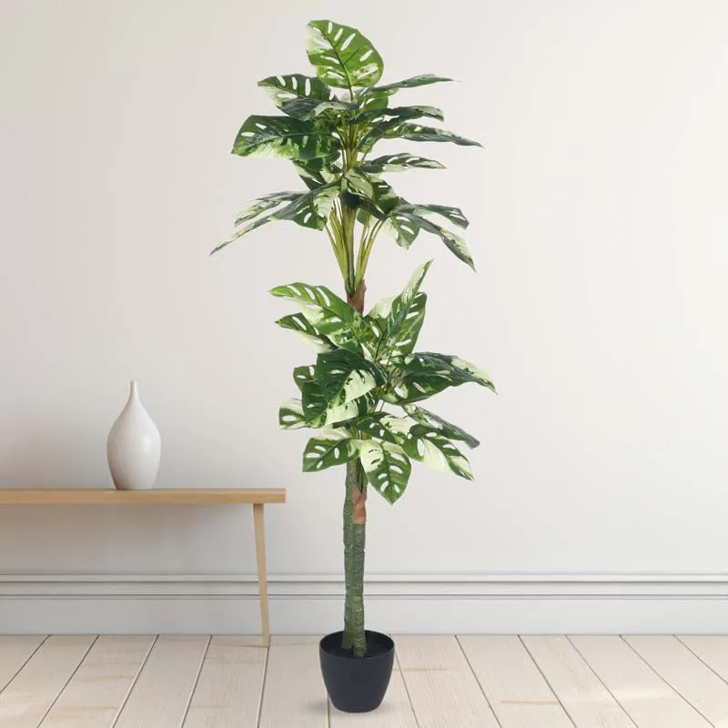 Faux Lush Variegated Monstera Plant With Black Plastic Pot - 4.8 Feet media 3