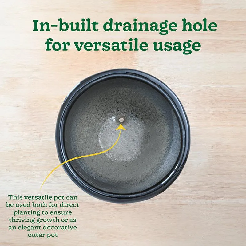 Ugaoo Cantata Ceramic Planter - Black media 7