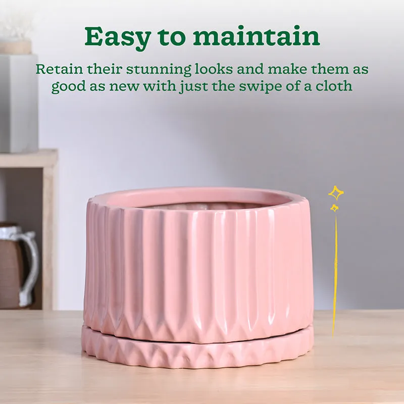 Ugaoo Stria Ceramic Planter - Pink media 5