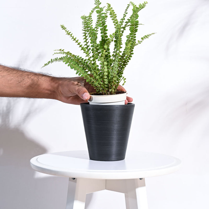 UGAOO Venice Planter for Home & Balcony Garden- Black media 5