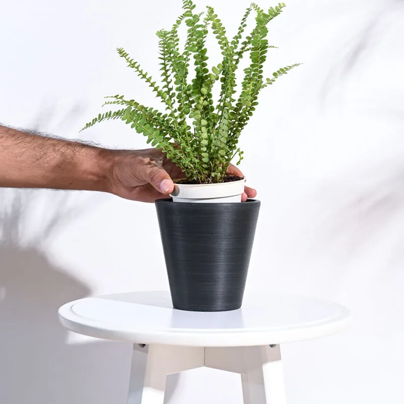 UGAOO Venice Planter for Home & Balcony Garden- Black media 5