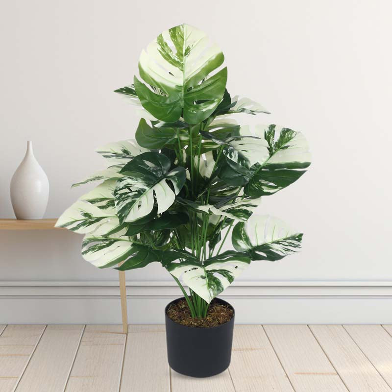 Faux Lush White Monstera Plant With Black Plastic Pot - 2.6 Feet media 3