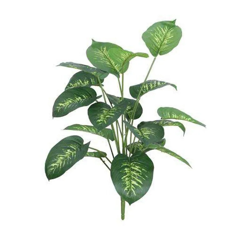 Evergreen Dieffenbachia Artificial Plant Without Pot - 2.3 Feet media 4