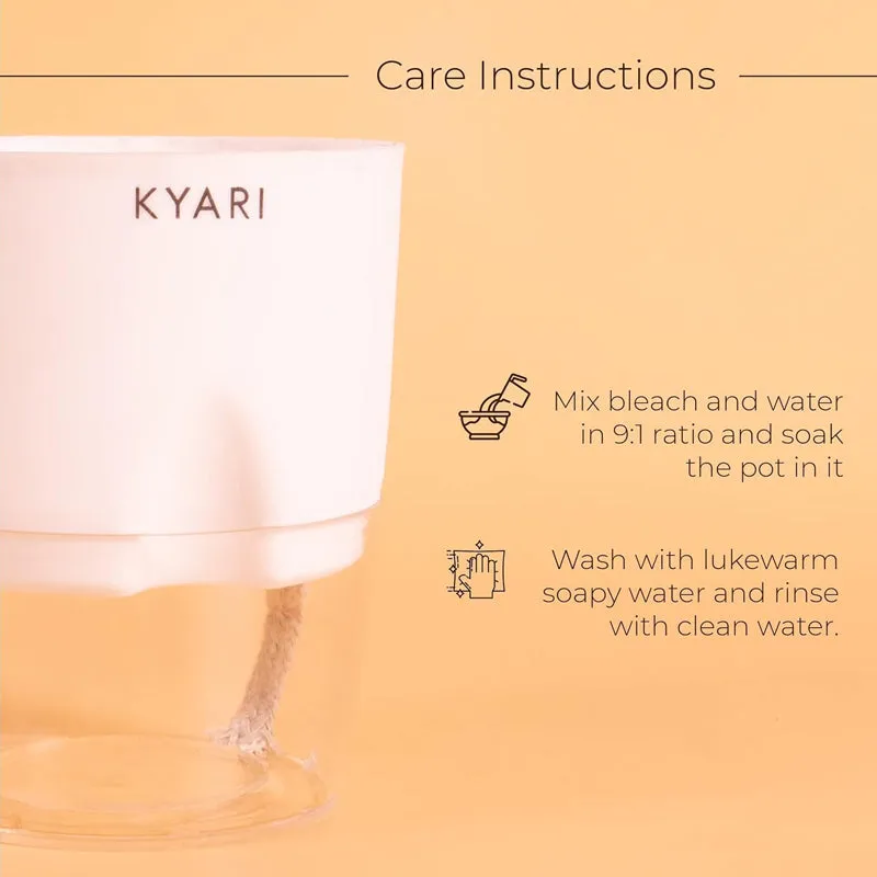 Kyari Viridian Plastic Self-Watering Pot (Multicolor) - Set Of Six media 5