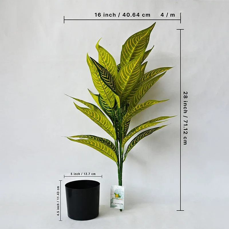 Faux Everlasting Yellow Iceton Croton Plant With Black Plastic Pot - 71 cm (2.3 ft) media 5