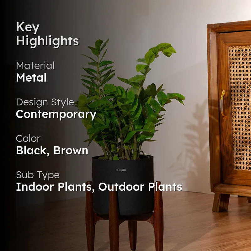Kyari Green ZZ Plant With Metal Self Watering Pot (Black) media 2
