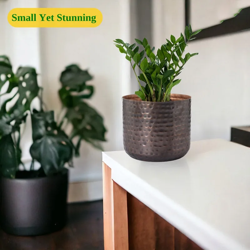 Green plant in a compact hammered copper-toned planter on a cabinet