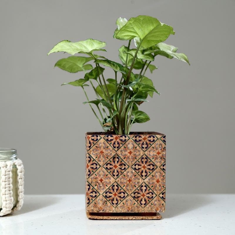 Wooden Cork Dreamy Planter media 3