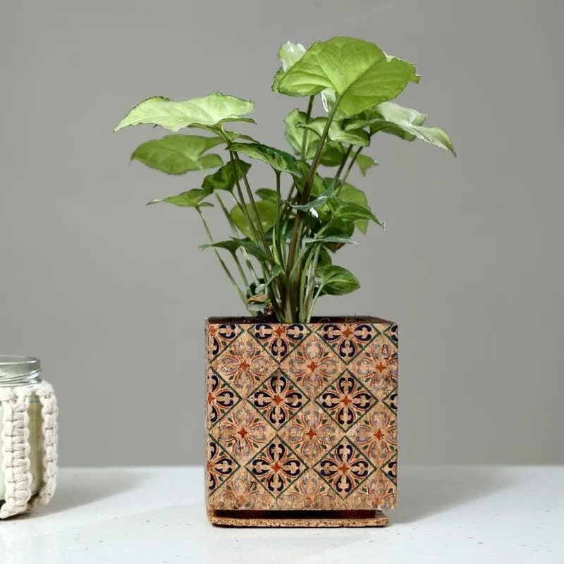 Wooden Cork Dreamy Planter media 3