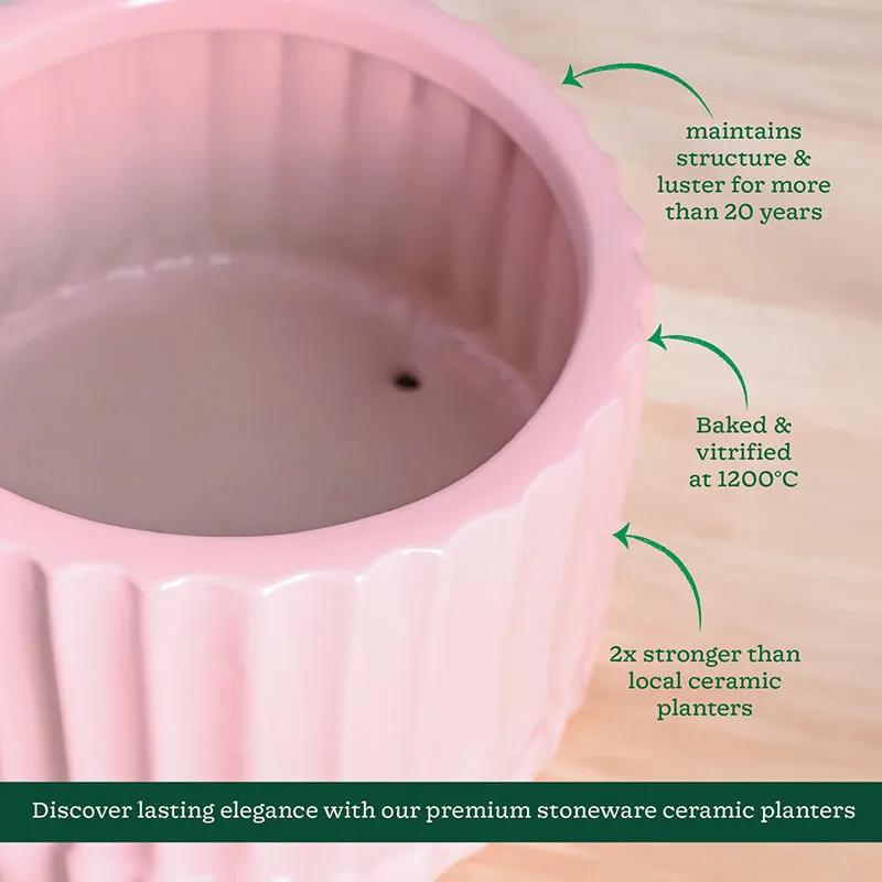 Ugaoo Stria Ceramic Planter - Pink media 6