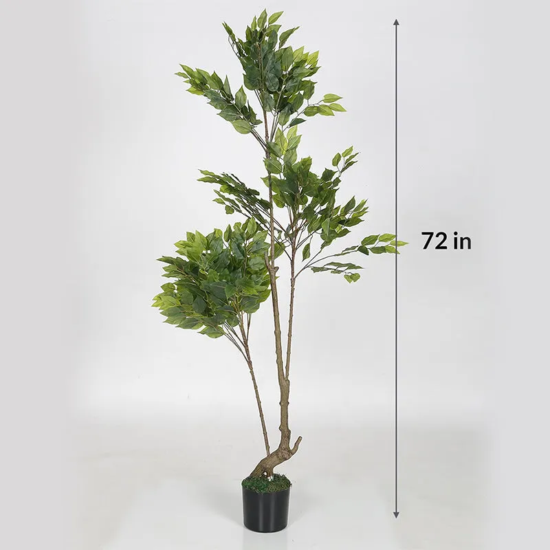 Faux Weeping Fig Tree - 5.9 Feet media 4