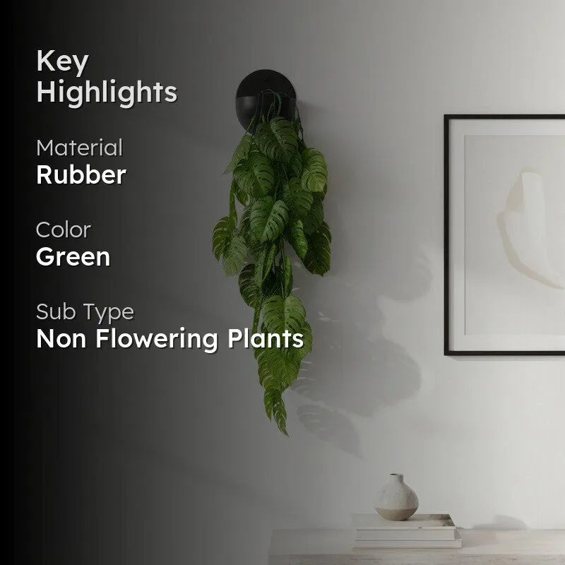 Floravue Artificial Monstera Creeper - Set of Three media 2