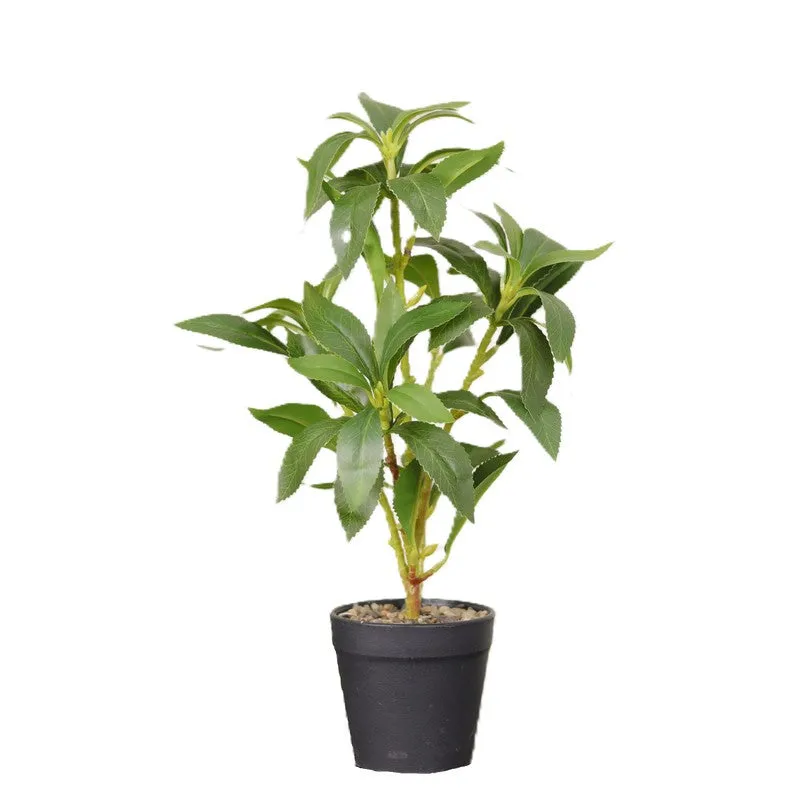 Artificial Indian Lilac Leaf Plant With Black Fiber Pot - 1.3 Feet media 4