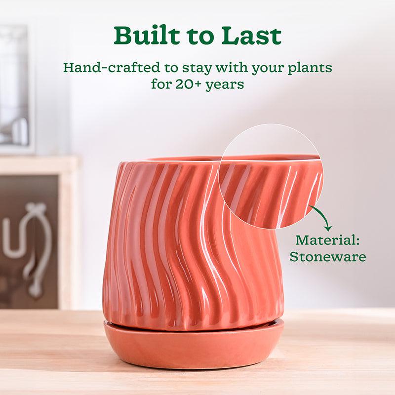 Ugaoo Waves & Roots Ceramic Planter - Coral media 3