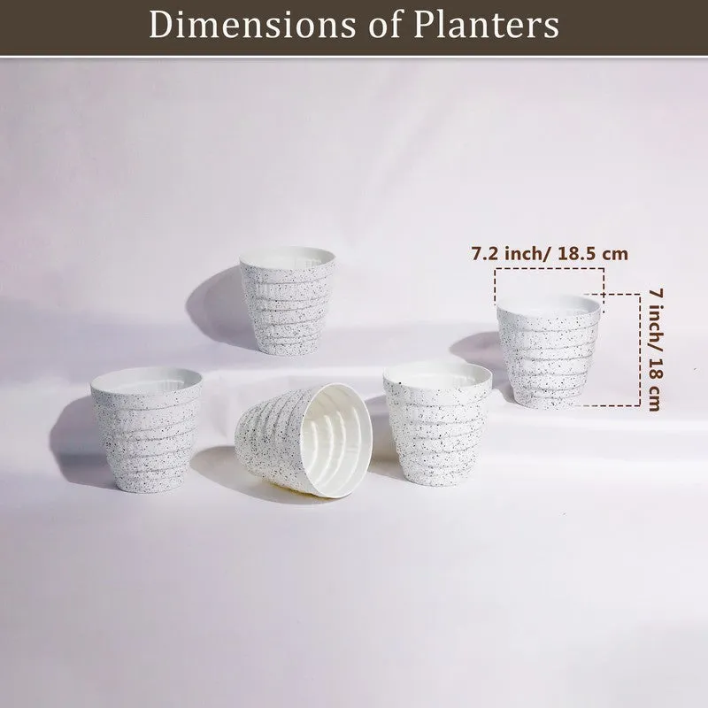 Velora Planters (White) - Set Of Five media 7