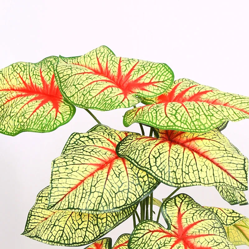 Calena Artificial Caladium With Black Plastic Pot - Yellow & Red media 3