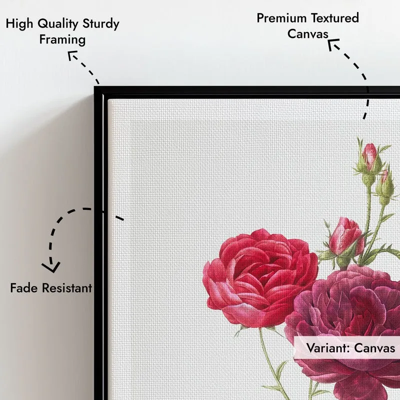 Purple French Rose Joseph Redout Archival Canvas Wall Painting - Black Frame media 7