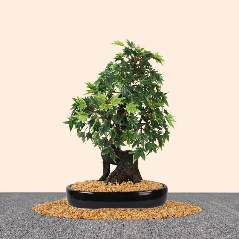 Faux Maple Bonsai In Tray Black Plastic Pot (41 cms) - Green & Brown media 1
