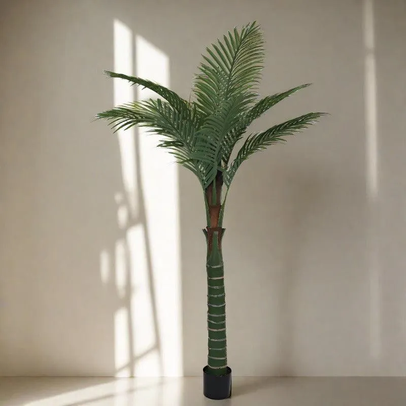 Faux Tall Feather Palm Plant With Black Plastic Pot - 6.56 ft media 3