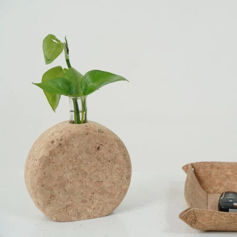 Sona Cork Testube Planter media 4