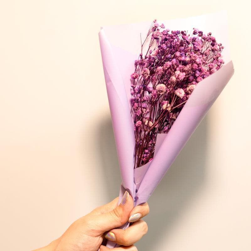 Naturally Dried Baby's Breath Gypsophila Bunch (Purple) - Set Of Five media 3