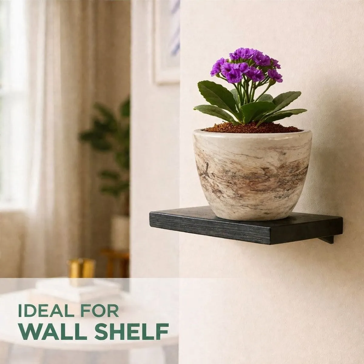 A flowering plant in the ceramic planter on a wall shelf.