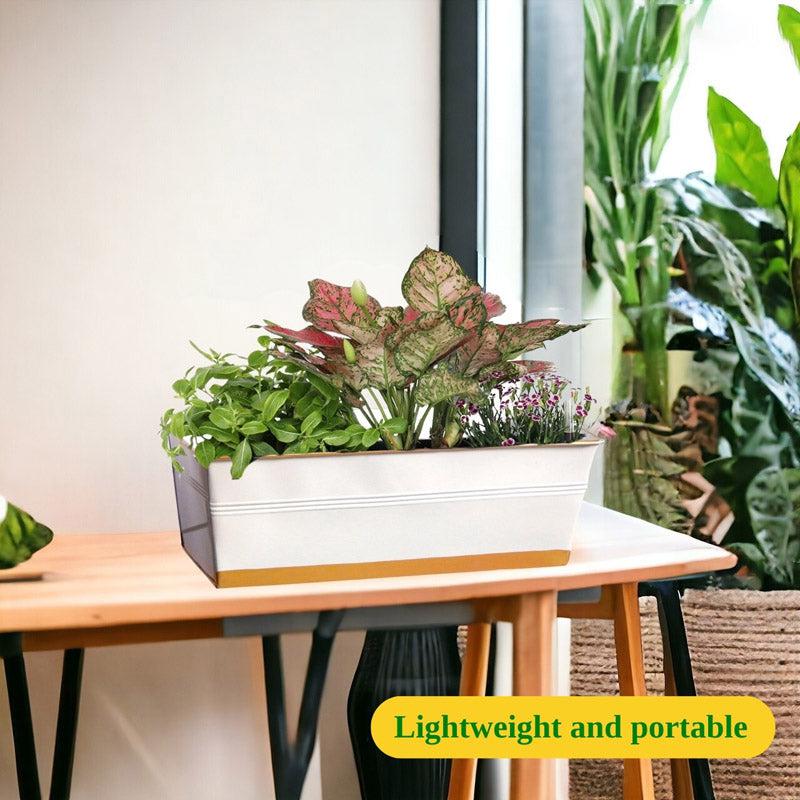Zutoia Black Planter - Grey media 6