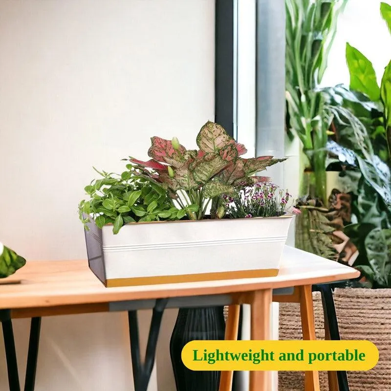 Zutoia Black Planter - Grey media 6