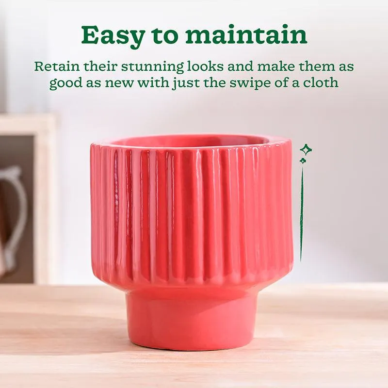 Ugaoo Classic Stria Ceramic Planter - Red media 4