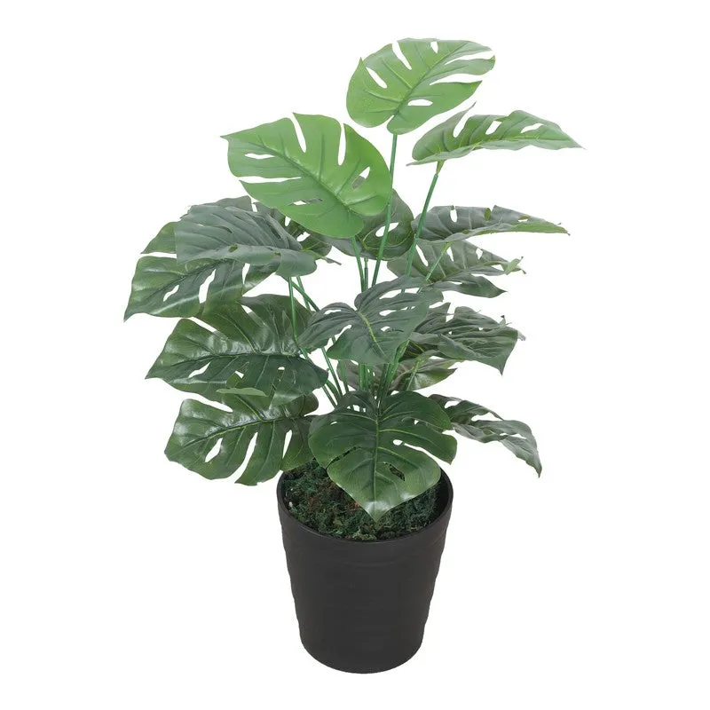 Regal Monstera Artificial Plant Without Pot - 2.3 Feet media 3