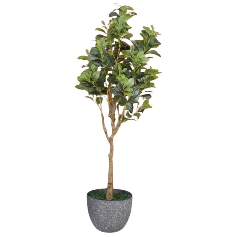 Artificial Peperomia Plant Without Pot - 4.9 Feet media 6