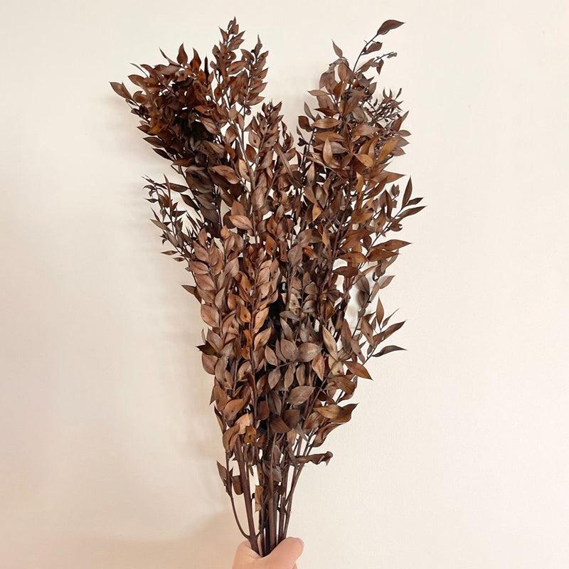 Dried Flowers & Leaves