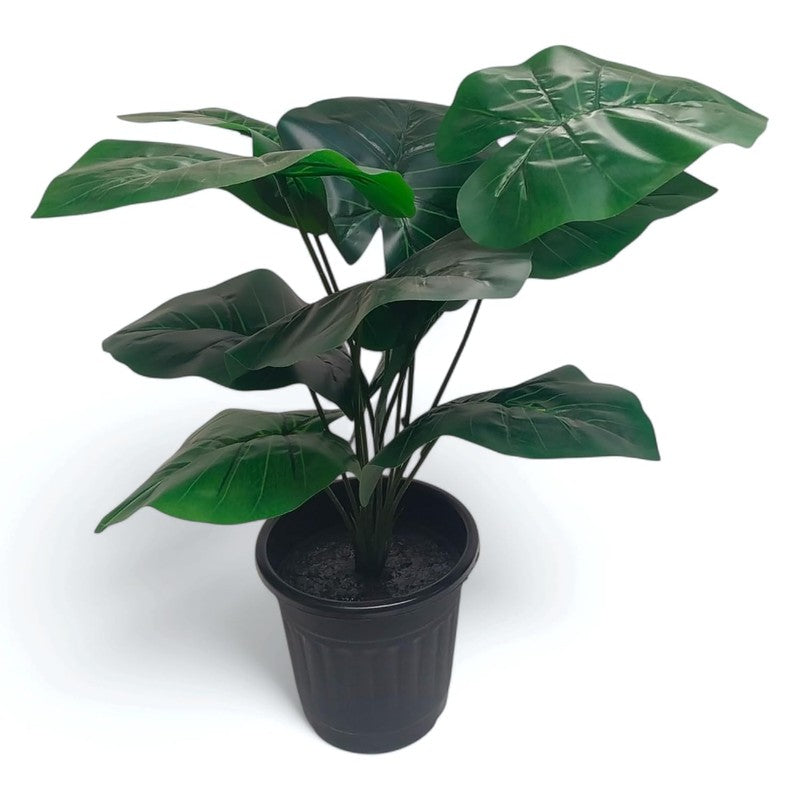 Mossique Artificial Elephant Ear Plant - 1.5 Feet media 3