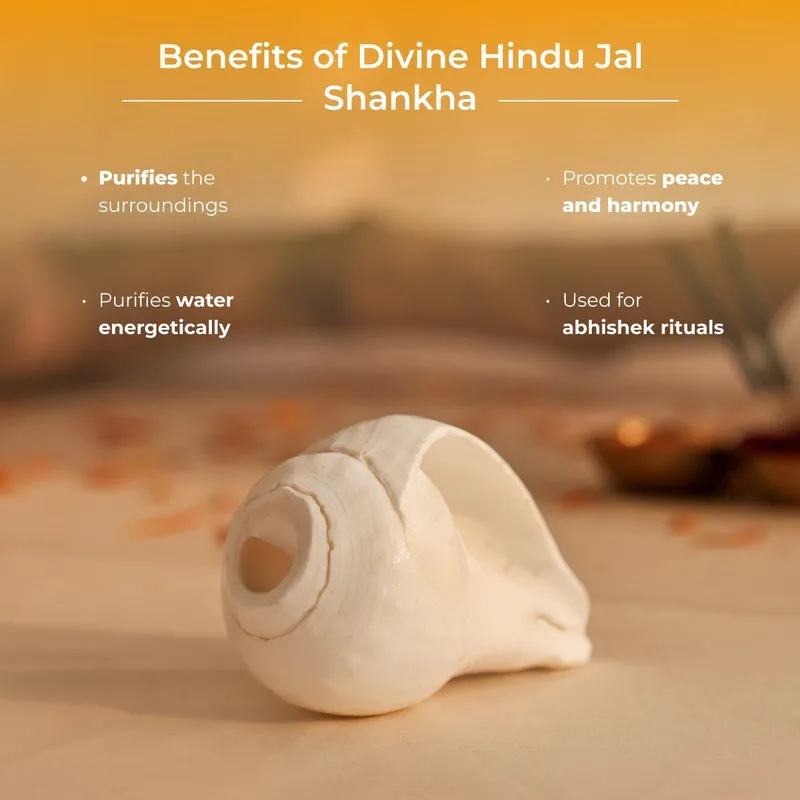 Sacred Shankh Shell Pooja Essential media 7
