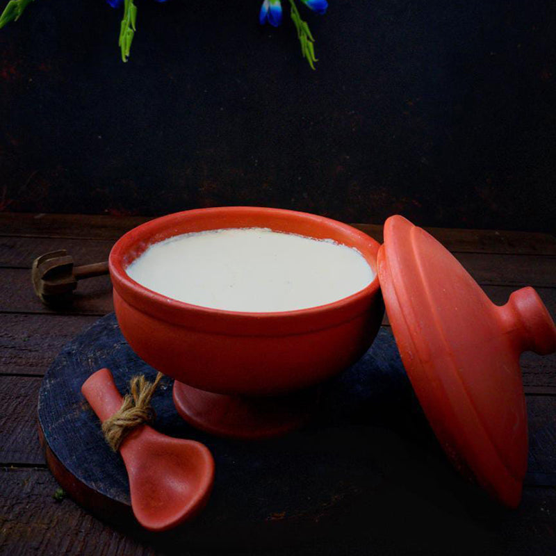 Sunbaked Terracotta Serving Bowl - 750 mL media 6