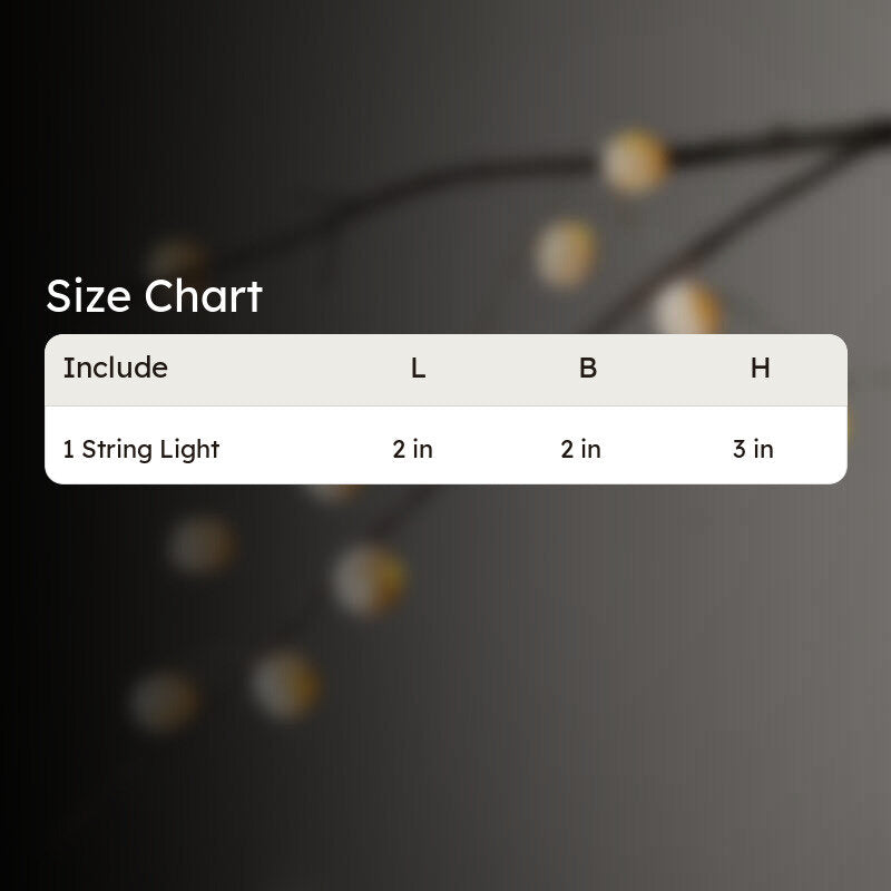 Fig Living Tabla Paper String Light media 15