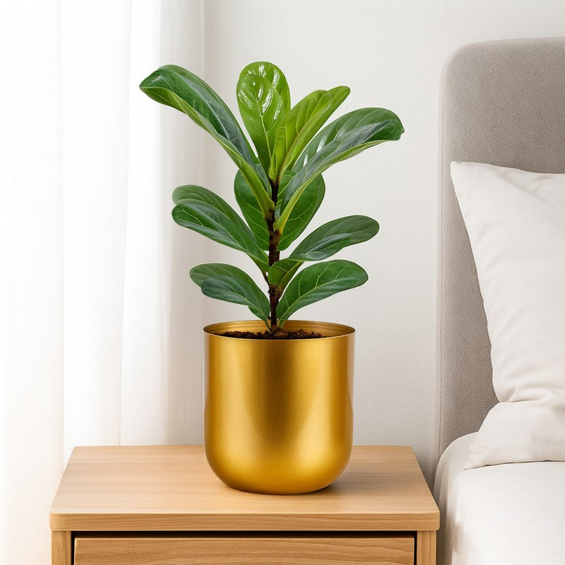 Aurix Metal Planter media 3