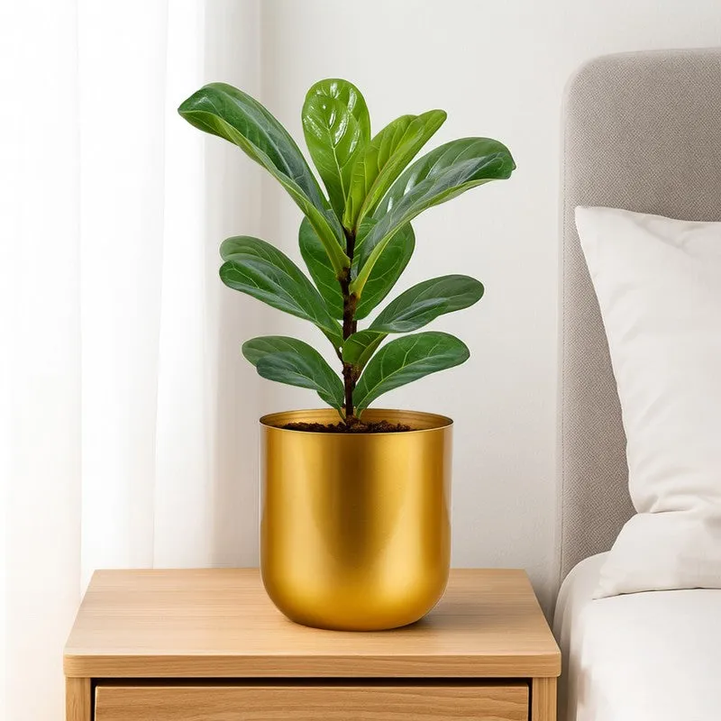 Aurix Metal Planter media 3