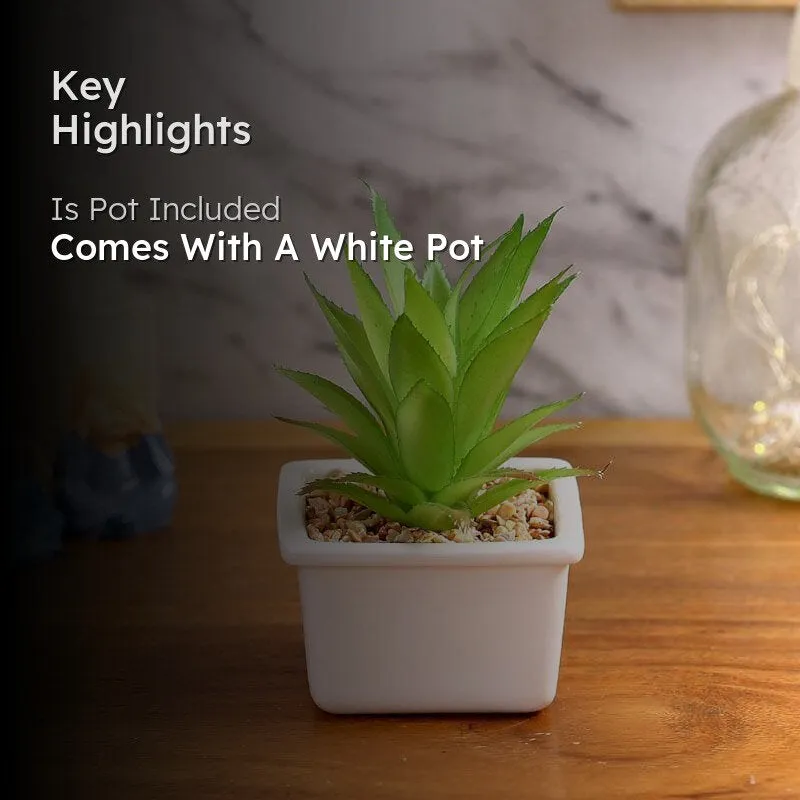 Faux Agave In White Pot - 14.5 cms media 2