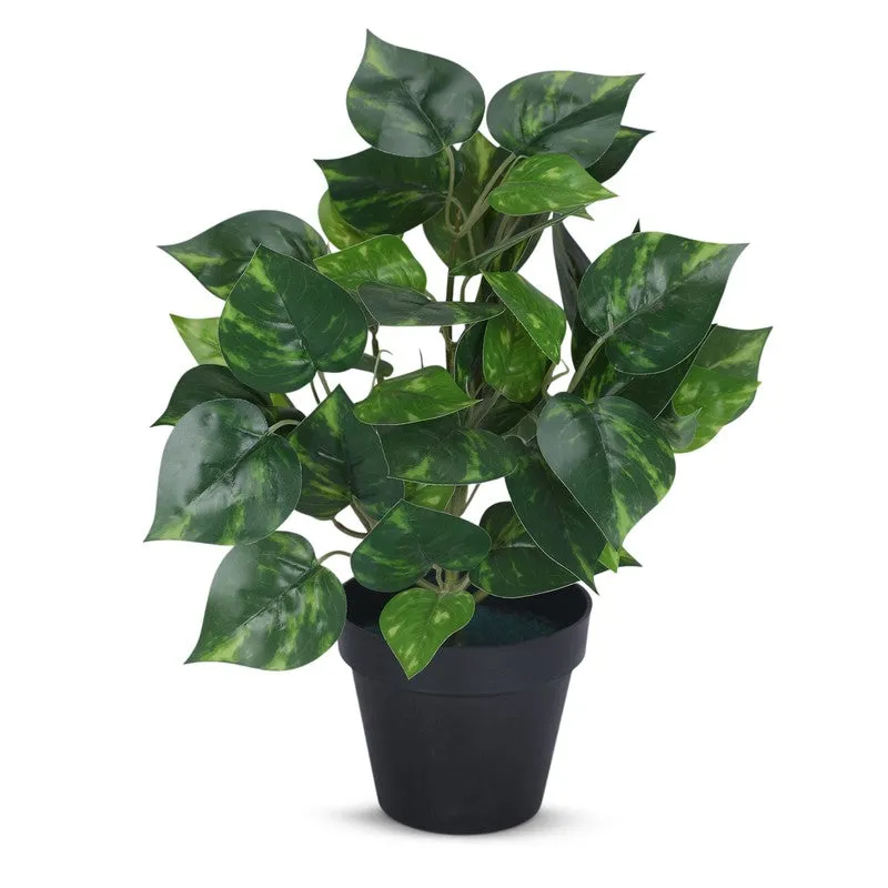 Artificial Money Plant With Black Plastic Pot media 4