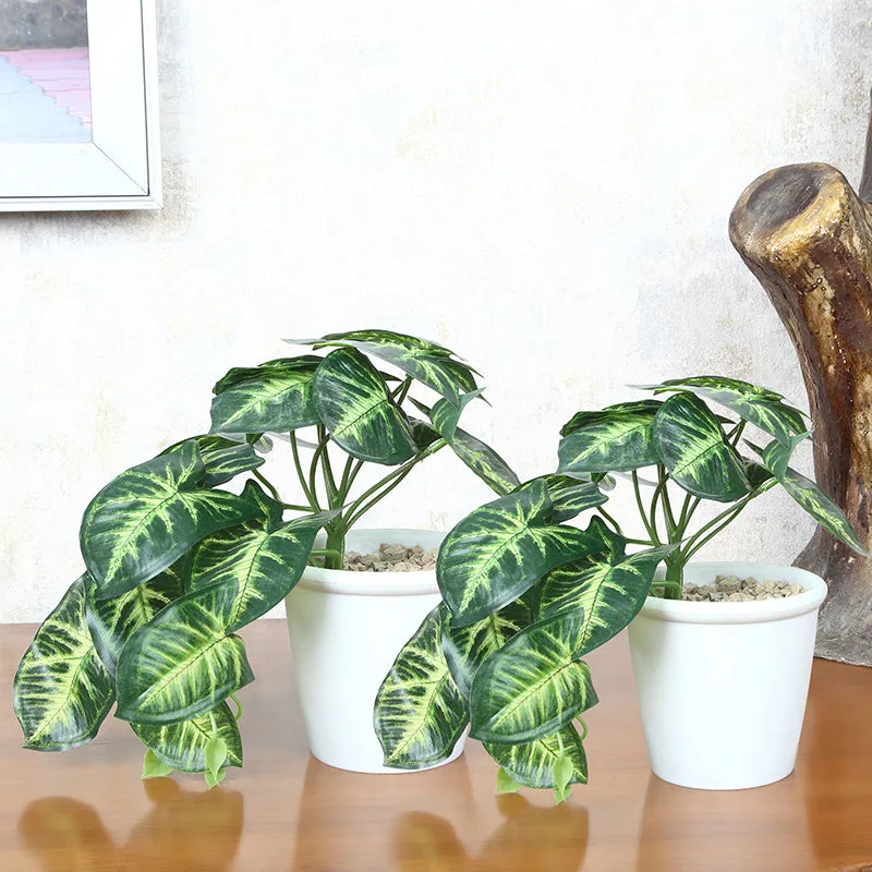Lirio Artificial Plant With Black Plastic Pot media 1