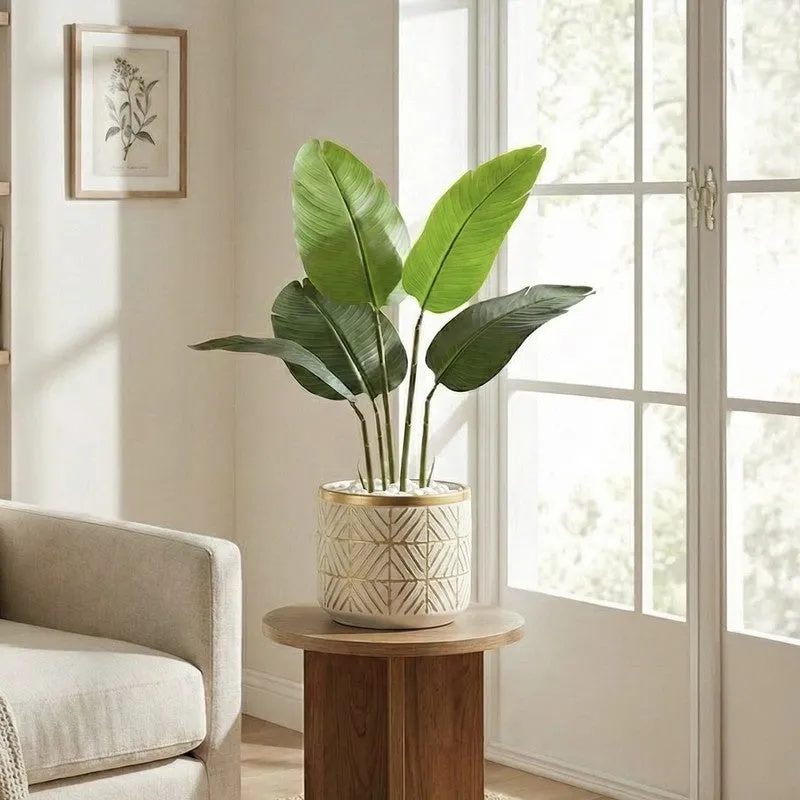 Tropiva Banana Leaf Palm Plant With Black Plastic Pot - 2.6 ft media 5