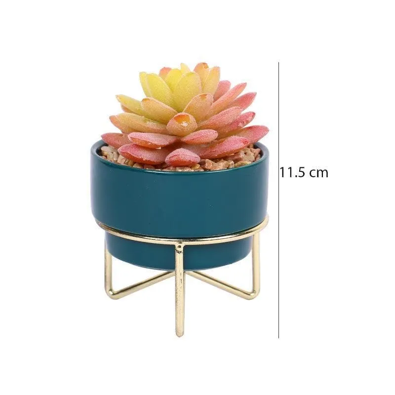 Faux Graptopetalum In Ceramic Pot - 11.5 cms media 4