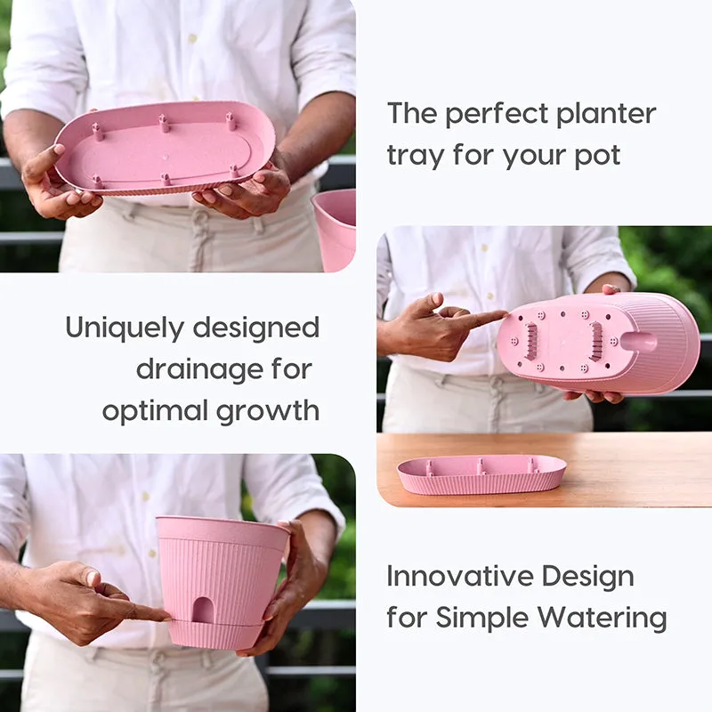 Gather Grove Self-Watering Planter - Set Of Four media 5